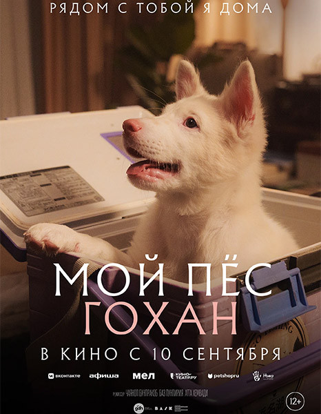 Мой пёс Гохан / Gohan (2026/WEB-DL/WEB-DLRip)